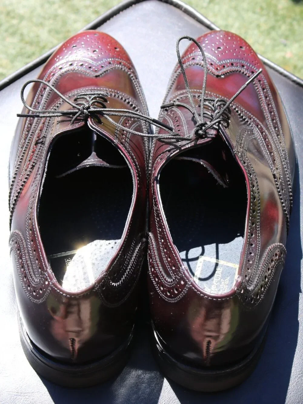Stuart McGuire Longwing Blucher 